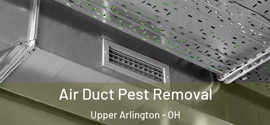 Air Duct Pest Removal Upper Arlington - OH
