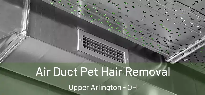 Air Duct Pet Hair Removal Upper Arlington - OH
