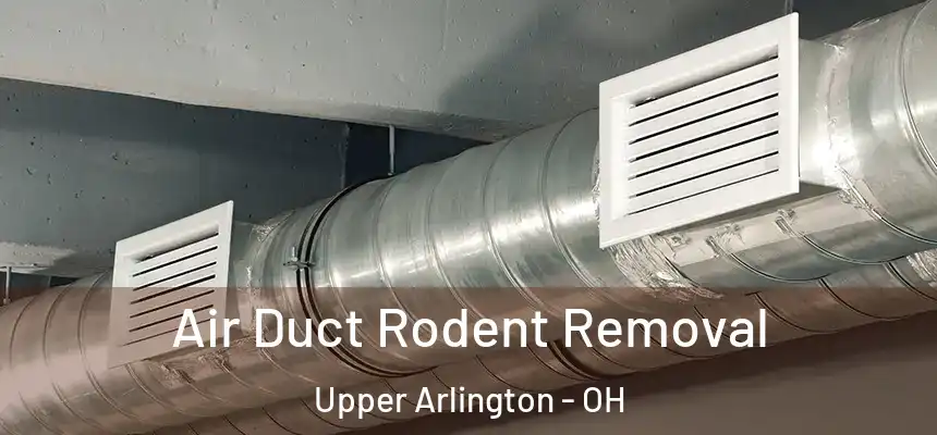 Air Duct Rodent Removal Upper Arlington - OH