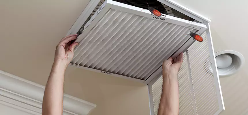 Preventive Cockroach-Proofing for Ducts in Upper Arlington