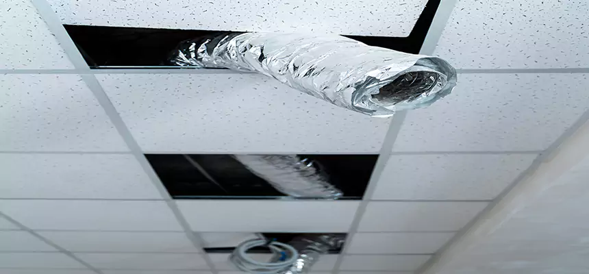 Our Air Duct Pet Hair Removal Services in Upper Arlington, OH