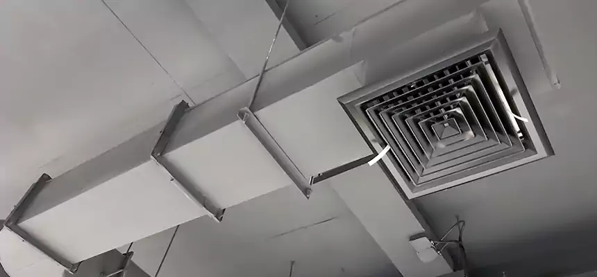 Our Pest Removal From Ducts Services in Upper Arlington, OH