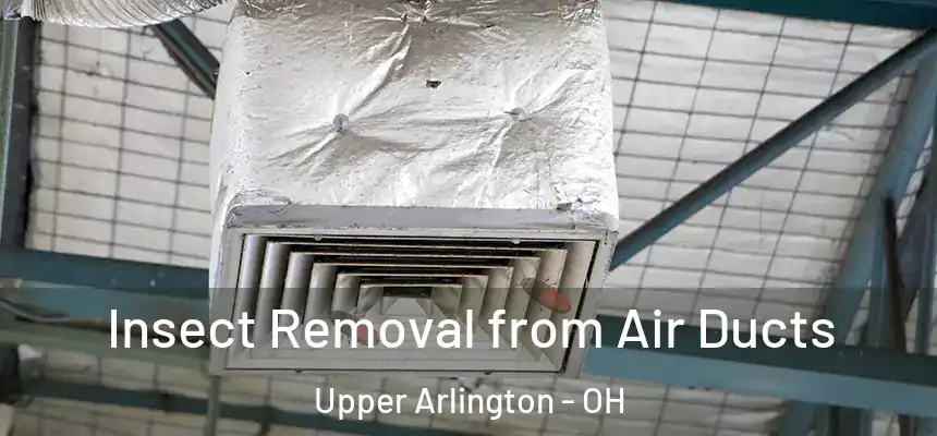  Insect Removal from Air Ducts Upper Arlington - OH