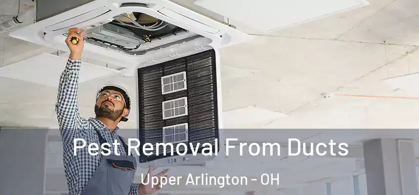 Pest Removal From Ducts Upper Arlington - OH