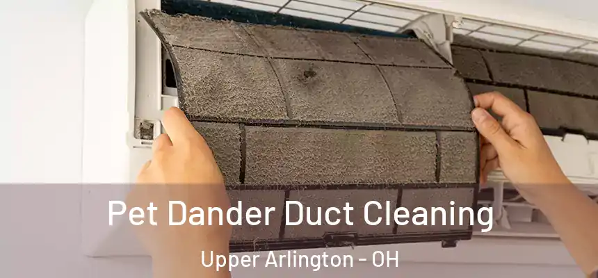  Pet Dander Duct Cleaning Upper Arlington - OH