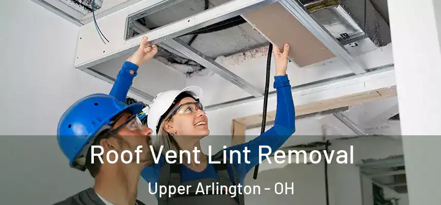  Roof Vent Lint Removal Upper Arlington - OH