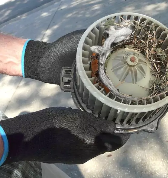 About Air Duct Mice Removal in Upper Arlington, OH