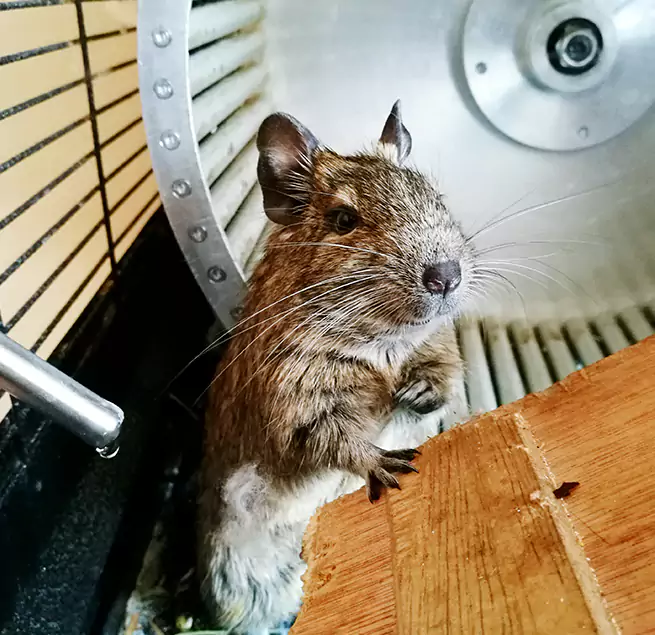 Why Homeowners & Businesses Trust Us Upper Arlington, OH?